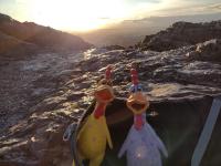 /home//u458753944/public_html/sourcegallery//other/uk 2023/edinburgh/IMG_20230914_071529107_HDR.jpg